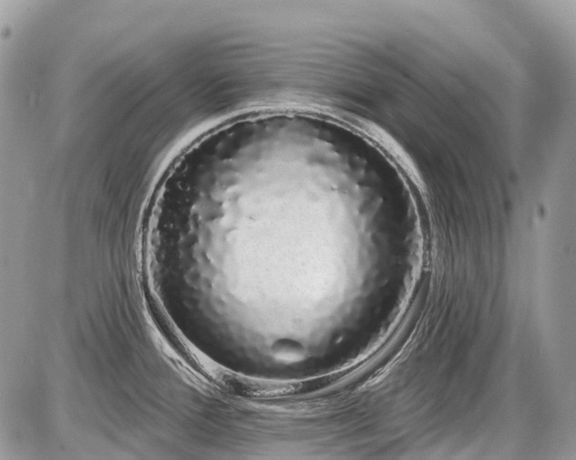 X0000086781388200704131203