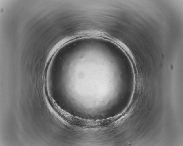 X0000086781389200704131203