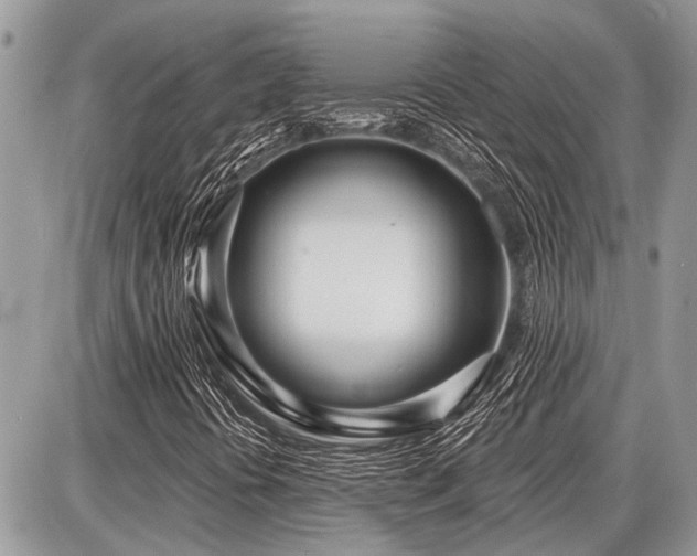 X0000086781394200704131202
