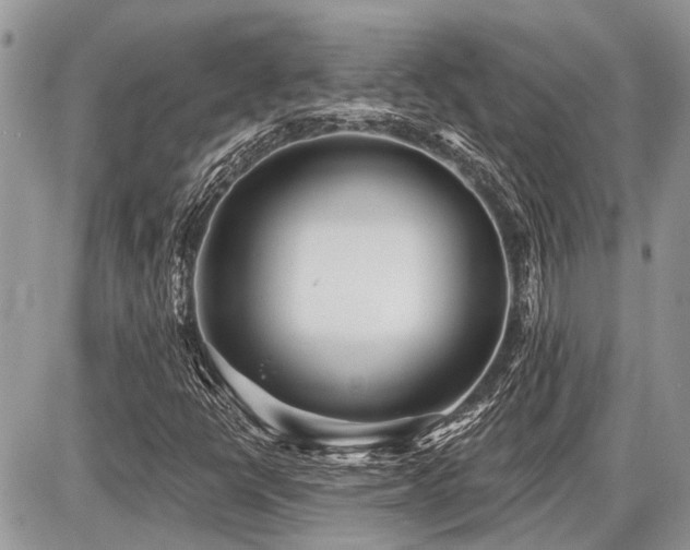 X0000086781398200704131202