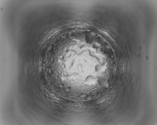 X0000086781399200704131202