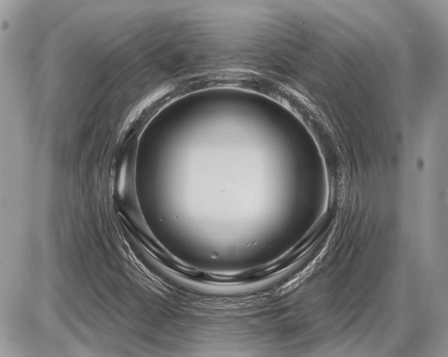 X0000086781402200704131202