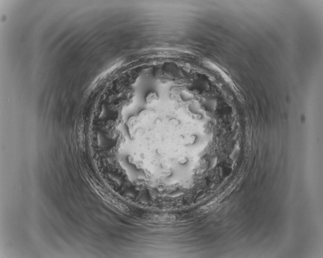 X0000086781403200704131202