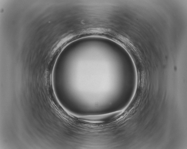 X0000086781404200704131202