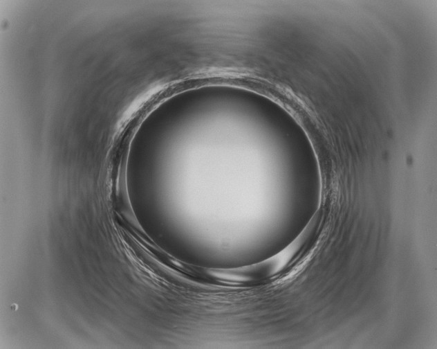 X0000086781406200704131202