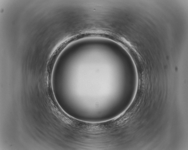 X0000086781408200704131202