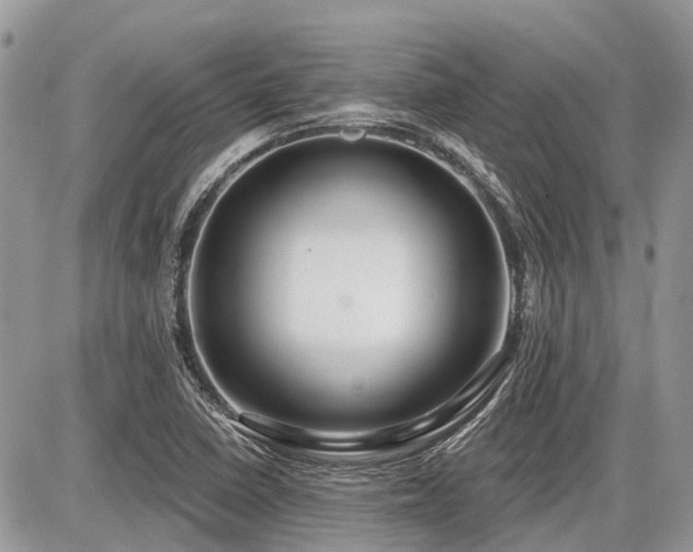 X0000086781410200704131202