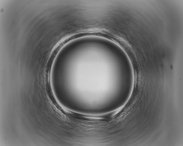 X0000086781412200704131202