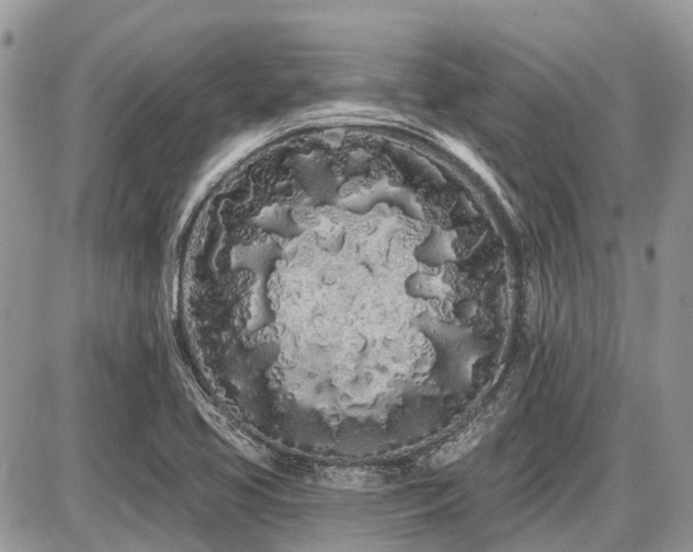 X0000086781413200704131203