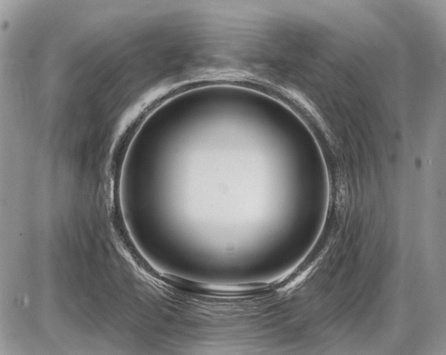 X0000086781414200704131203