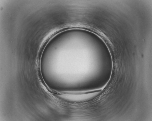 X0000086781416200704131203