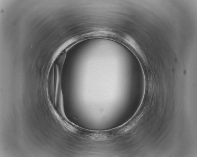 X0000086781418200704131203