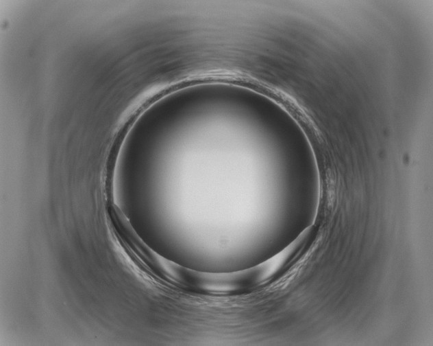 X0000086781422200704131203