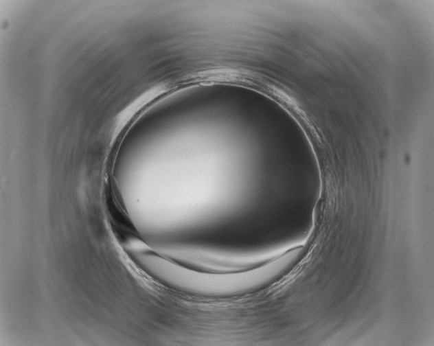 X0000086781426200704131203