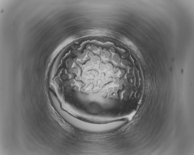 X0000086781427200704131203