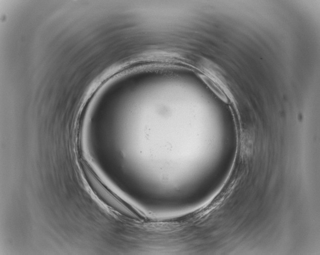 X0000086781437200704131203