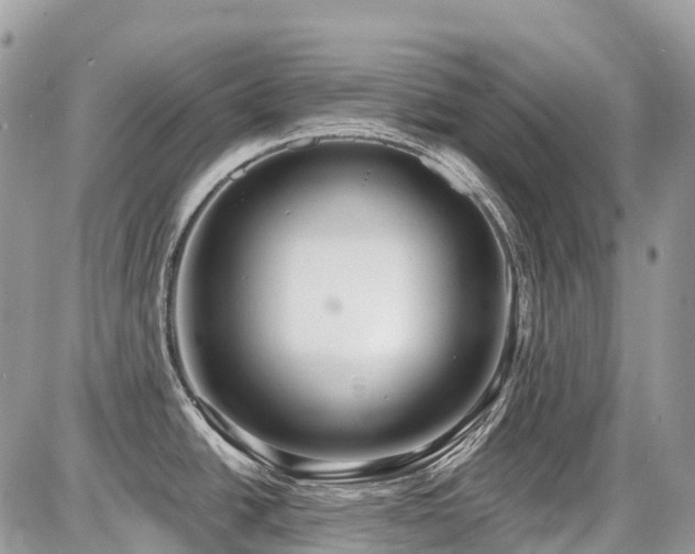 X0000086781438200704131203