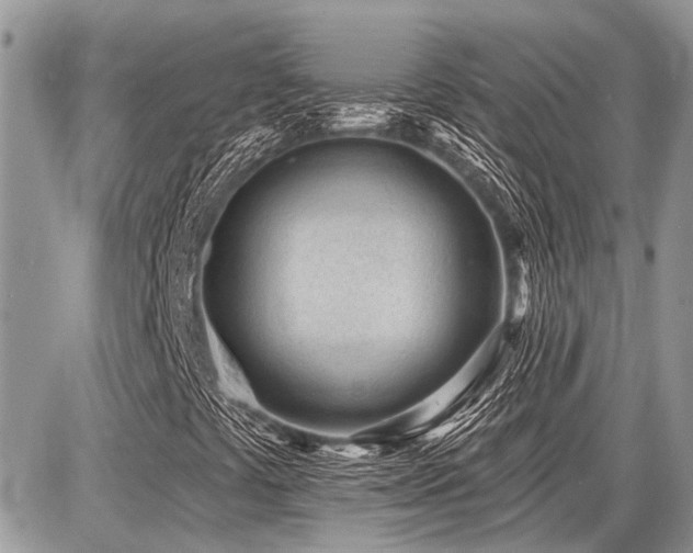 X0000086781441200704131202