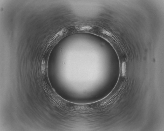 X0000086781443200704131202