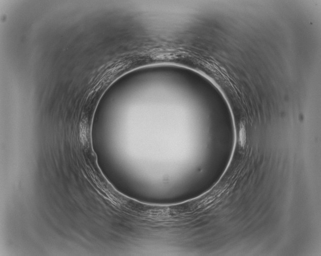 X0000086781444200704131202