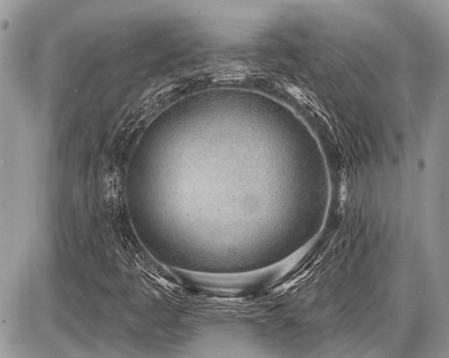X0000086781445200704131202