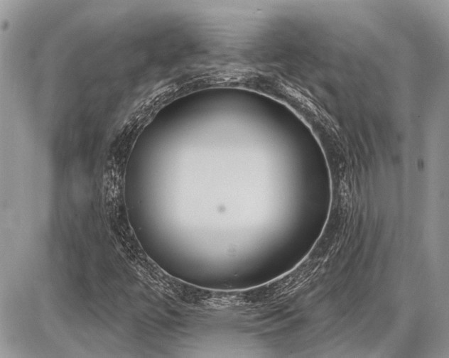 X0000086781447200704131202