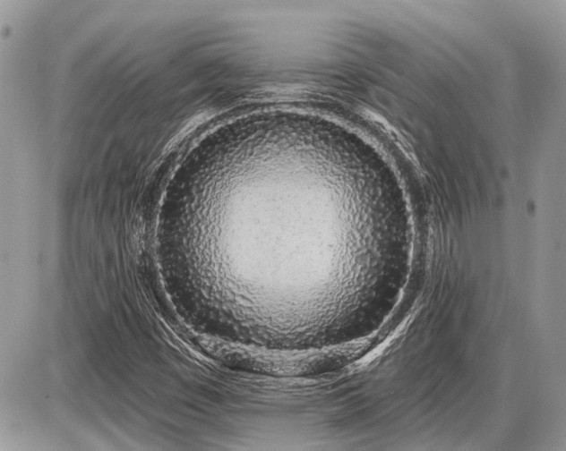 X0000086781449200704131202