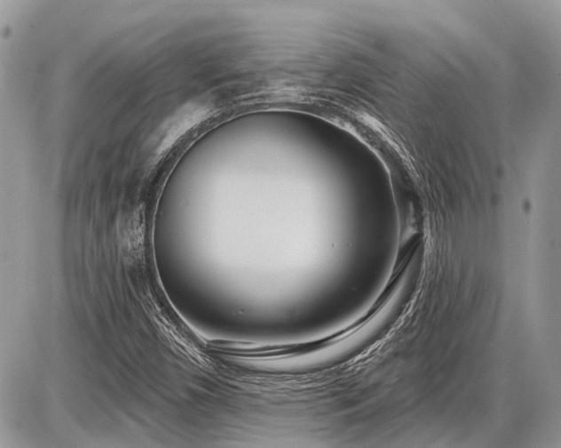 X0000086781450200704131202