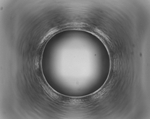 X0000086781451200704131202