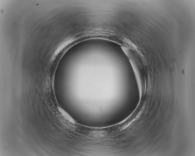 X0000086781453200704131202