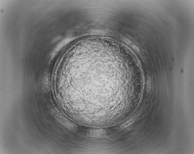 X0000086781454200704131202