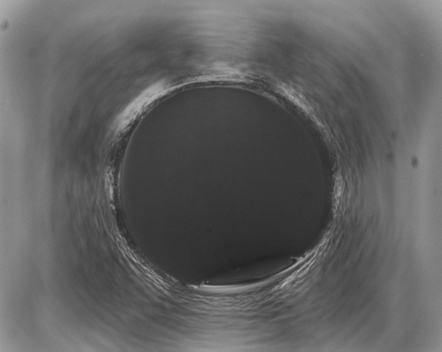 X0000086781455200704131202