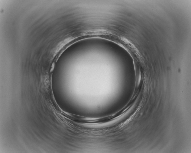 X0000086781457200704131202