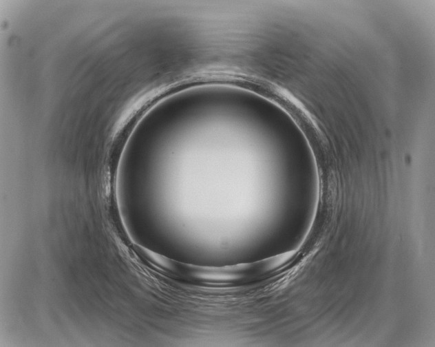 X0000086781461200704131202