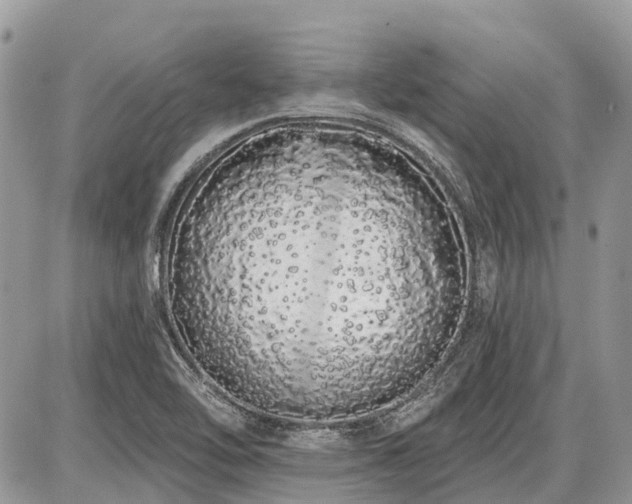 X0000086781462200704131202