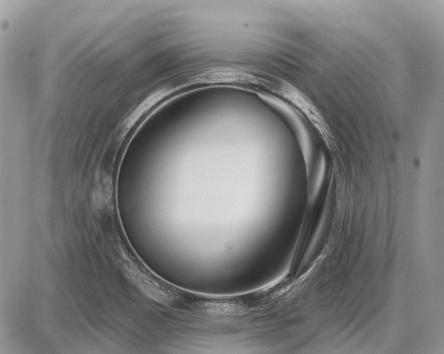 X0000086781465200704131202