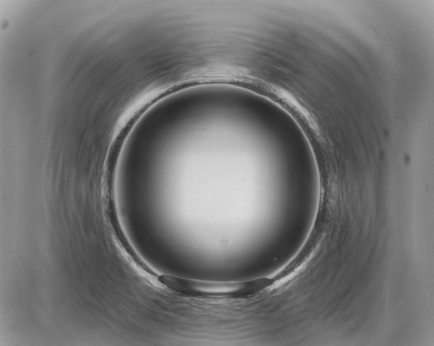X0000086781469200704131202