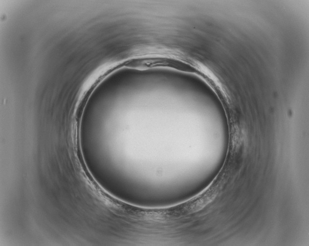 X0000086781472200704131202