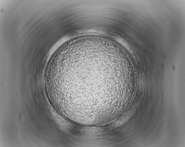 X0000086781474200704131202