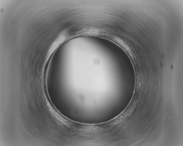 X0000086781475200704131202
