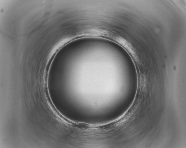 X0000086781477200704131202
