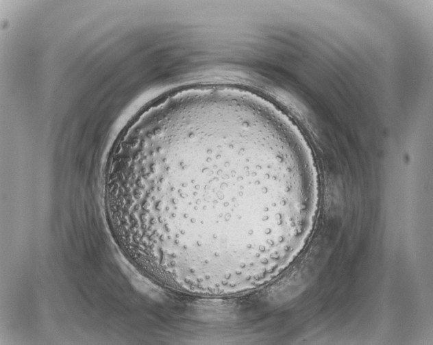 X0000086781478200704131202