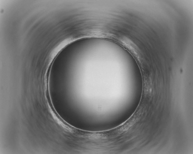 X0000086781479200704131202