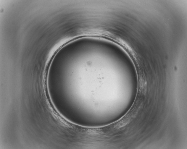 X0000086781480200704131202