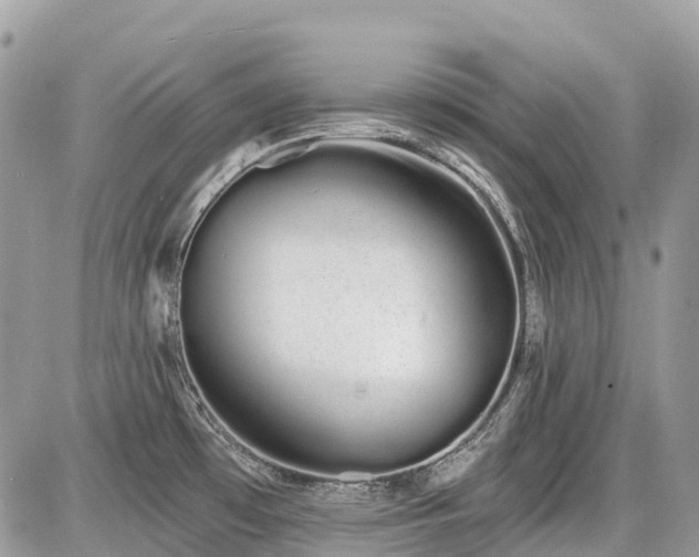 X0000086781481200704131202