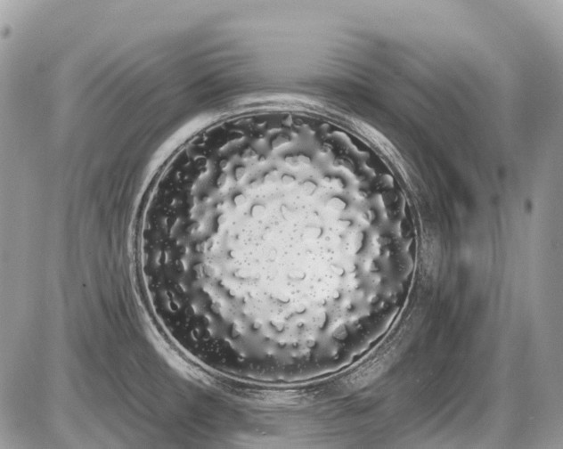 X0000086781482200704131201