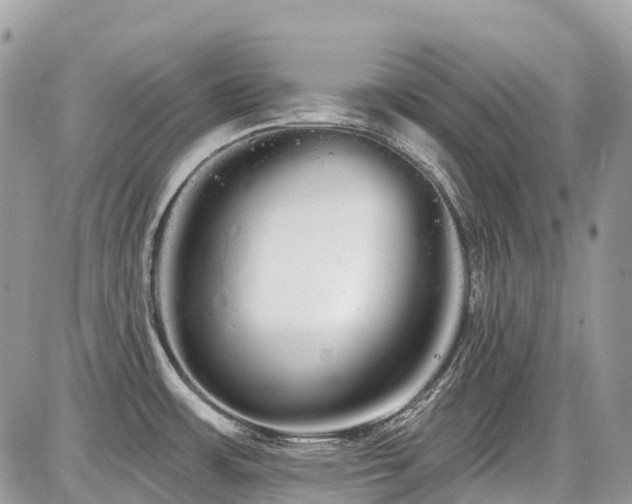X0000086781483200704131201