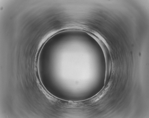 X0000086781485200704131201