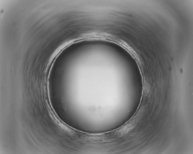 X0000086781486200704131201