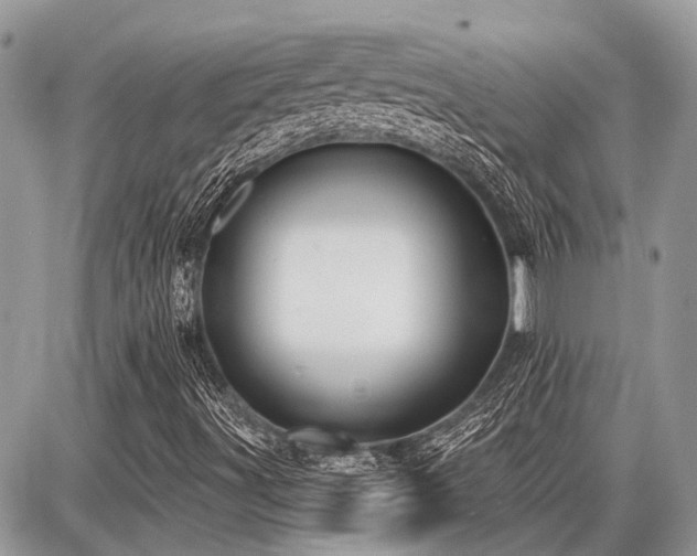 X0000086781491200704131201
